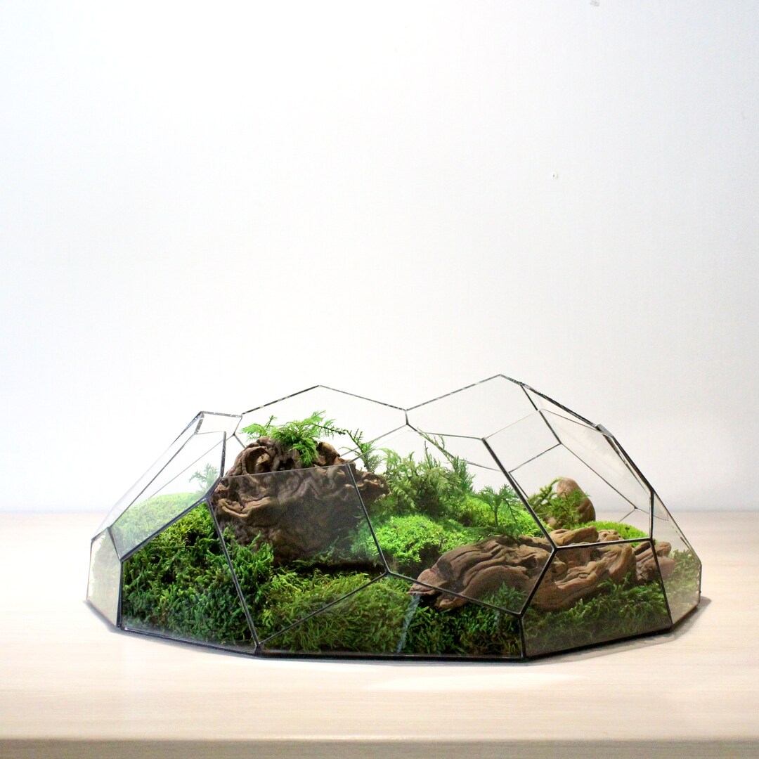 Waterproof 16.5 Inches 42 Cm Geometric Terrarium Phobos - Stunning ...