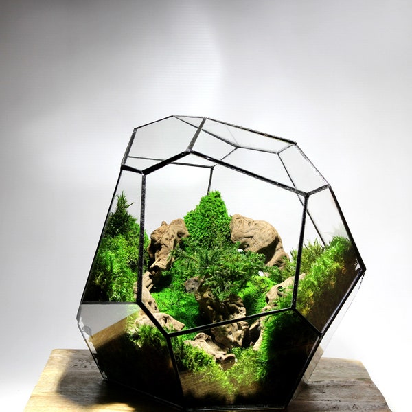 Terrario geometrico in vetro OptiWhite impermeabile da 4 mm senza piante - Nero Cassiopeia: moderno terrario parametrico per la tua casa