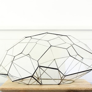 Ecosphere MartianCamp Geometric Glass Terrarium - Parametric Design for a Modern Georarium Without Plants