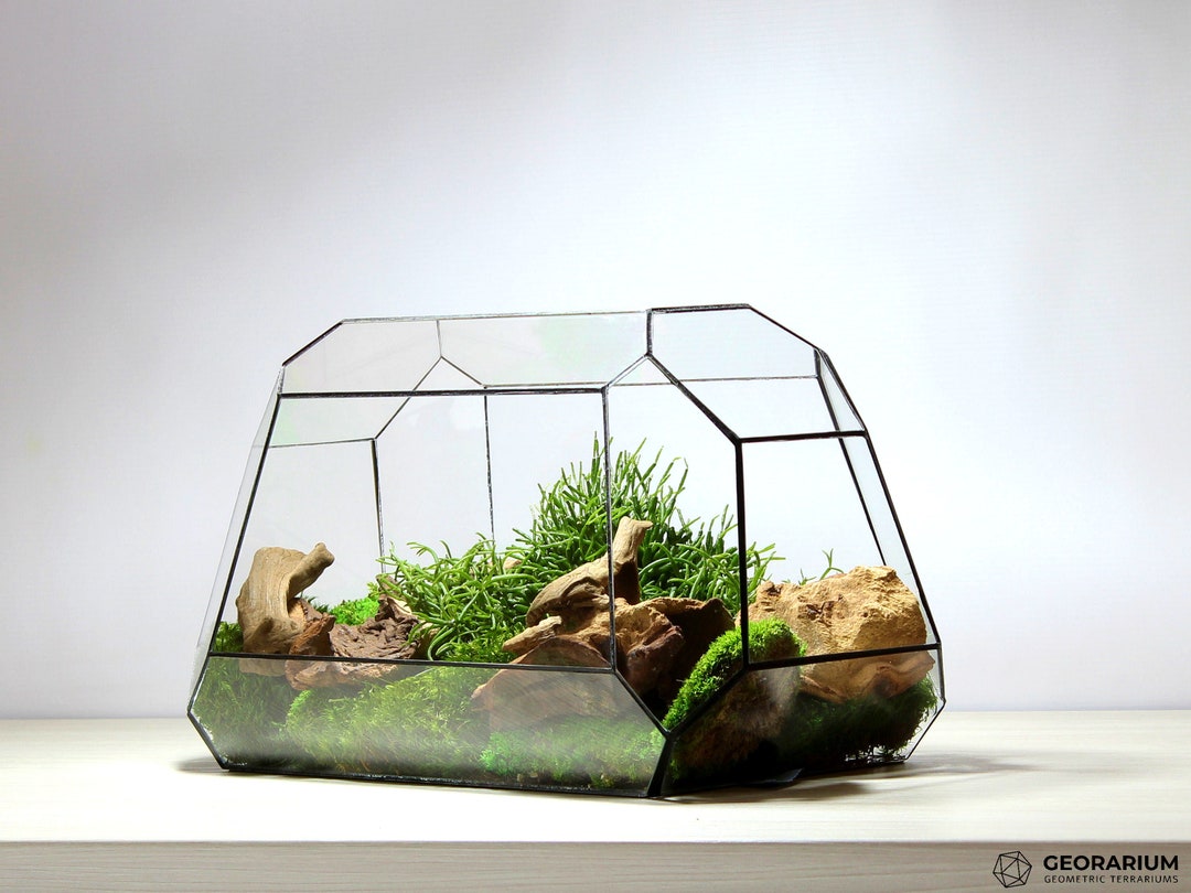 Waterproof Geometric Terrarium Moonplanter - Handmade Glass Terrarium ...