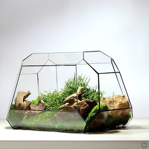 Waterproof Geometric Terrarium MoonPlanter - Handmade Glass Terrarium without Plants, Perfect for Modern Interiors - Unique Design