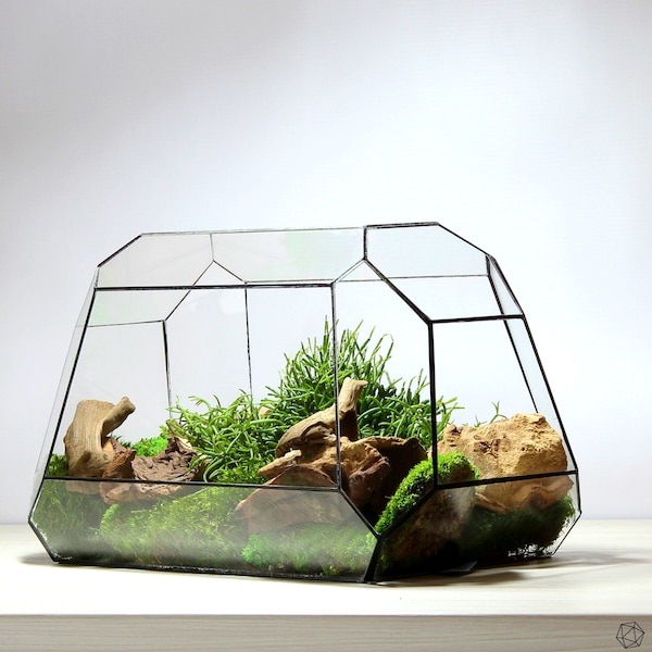 Unique Terrarium Etsy
