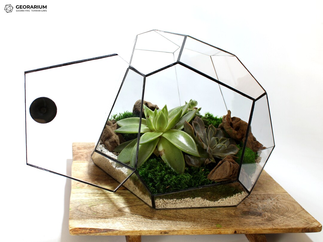 Geometric Glass Waterproof Terrarium Closed Mossterrarium Etsy