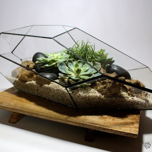 Waterproof Geometric Terrarium Astra - Terrarium without Plants - Parametric Terrarium - Glass Terrarium - Georarium