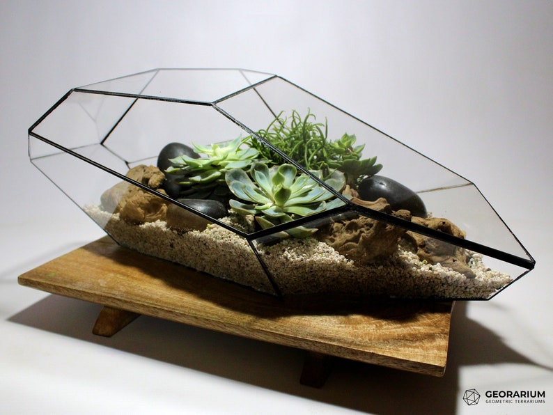 Geometric Terrarium Astra Terrarium Without Plants Etsy