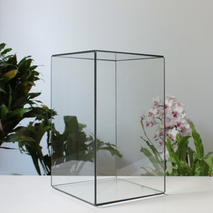 Może przedstawiać: Przezroczysta szklana gablotka w kształcie sześcianu z czarną ramą. Gablotka jest pusta i stoi na białym tle.