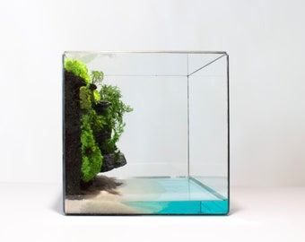 Terrario classico impermeabile senza piante Fatto a mano