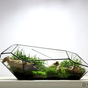 Waterdicht 18 inch geometrisch terrarium Galaxius - Prachtig parametrisch glazen terrarium zonder planten - Koop uw Georarium nu online