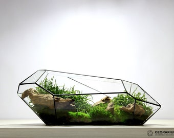 Waterdicht 18 inch geometrisch terrarium Galaxius - Prachtig parametrisch glazen terrarium zonder planten - Koop uw Georarium nu online