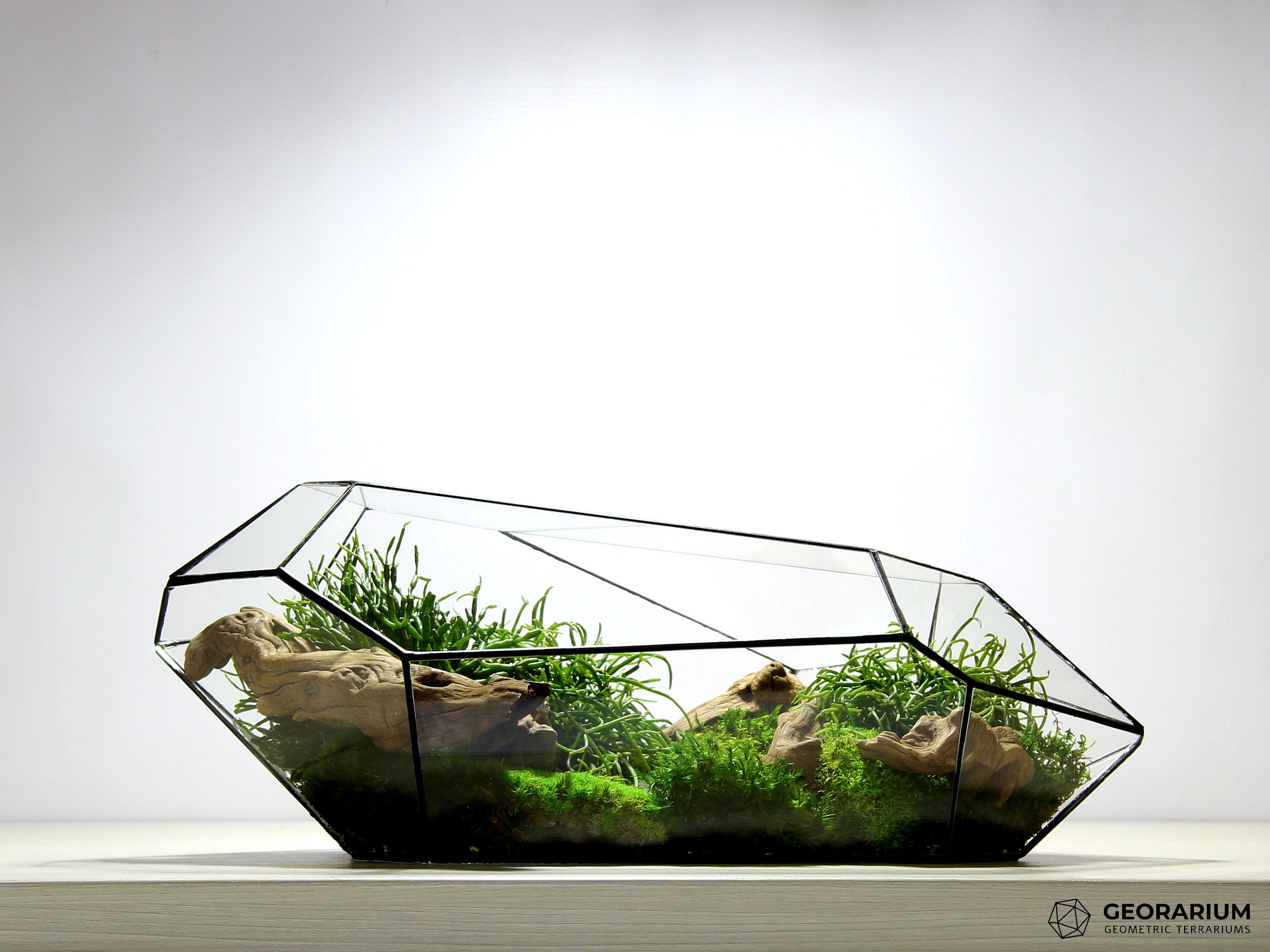 Waterproof 18 Inches Geometric Terrarium Galaxius Stunning Parametric