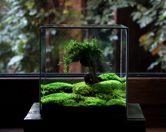 Klassiek waterdicht terrarium zonder planten | Handgemaakt waterdicht| Elegant ontwerp | Moderne woondecoratie | Plantenkweker | Plantenaquarium