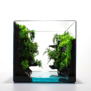 Moss Terrarium, Between Two Cliffs Terrarium, Glass Geometric Terrarium, Florarium, Preserved Moss Terrarium, Georarium,