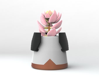 Style 5 - Satellite Series - 3D printed Planter