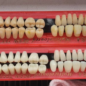28 Resin teeth. Realistic morbid human tooth set. Perfect for Halloween projects, sfx makeup looks or your own ideas