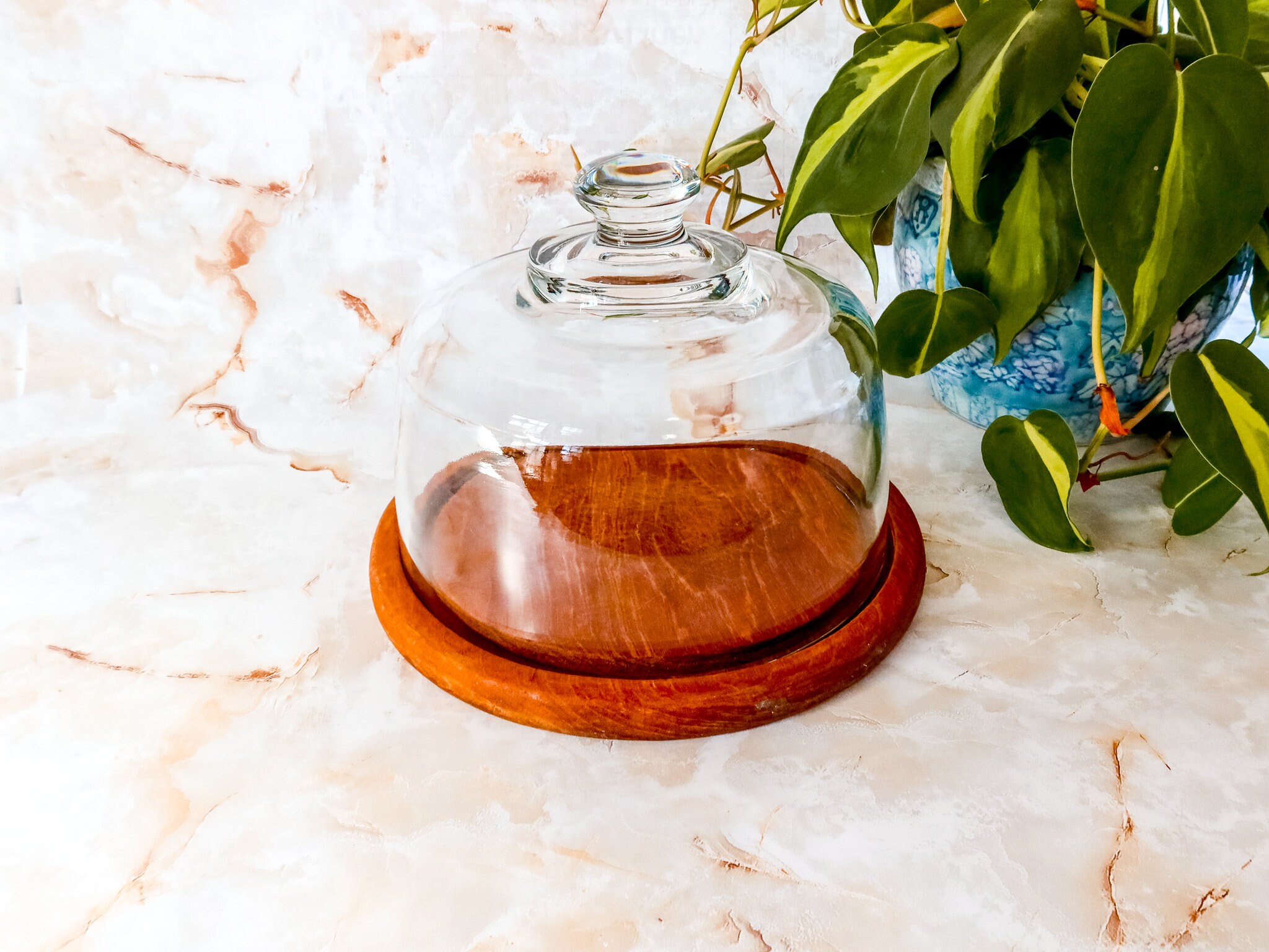 Kleine Holz & Glas Kuchen Kuppel Holzkuchenständer mit | Etsy