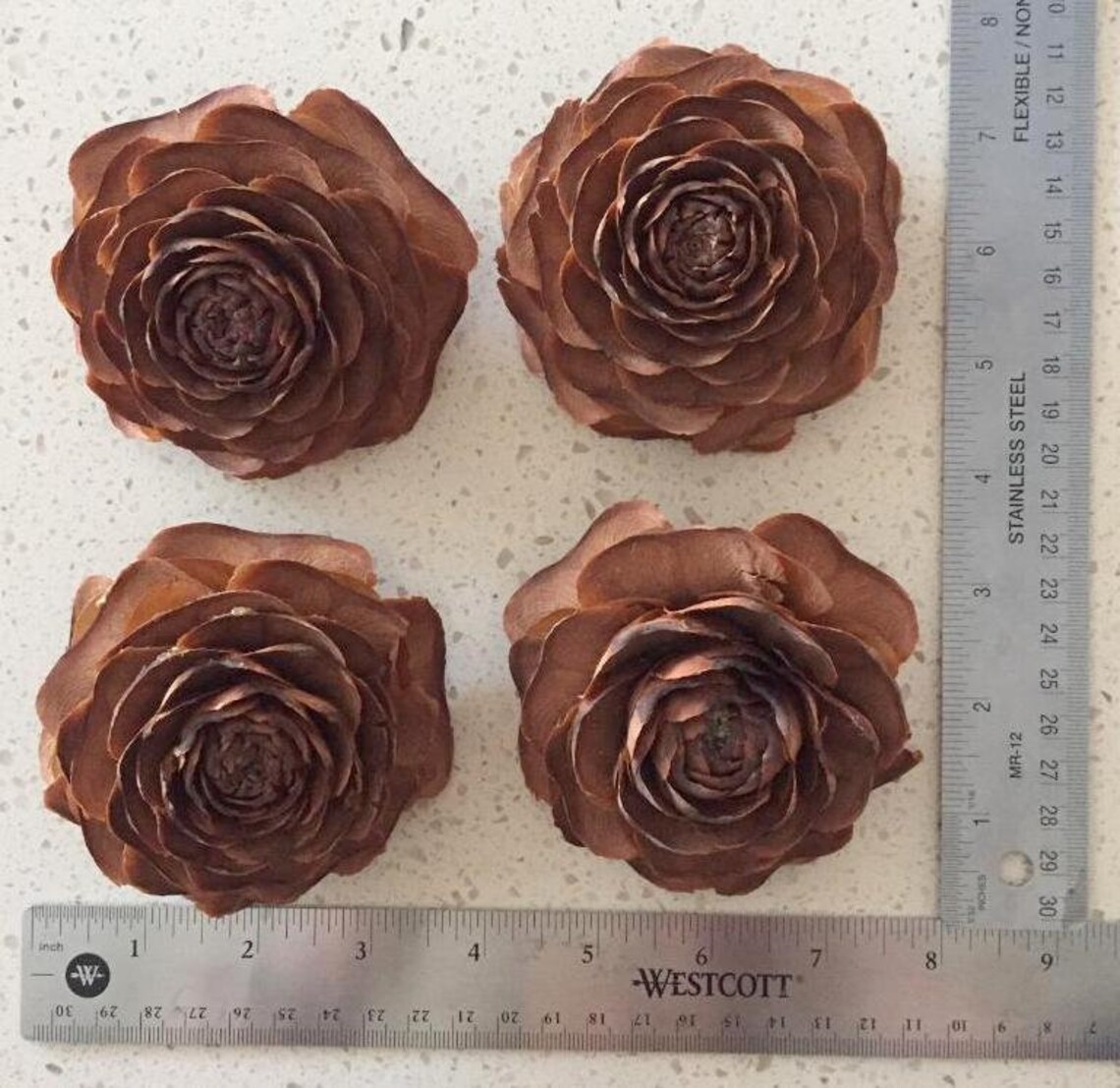 4 large Cedar Rose cones 3 to 3 1/2 Etsy