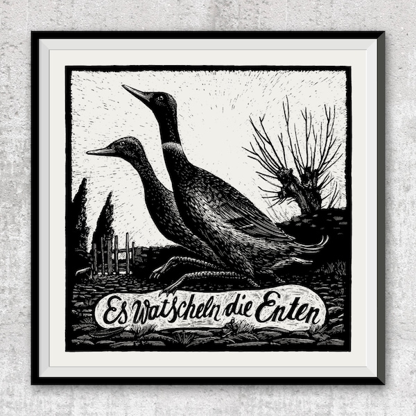 Tierbild »Es watscheln die Enten«