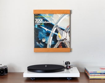 Vinyl Record Shelf | Wall Mounted LP Storage | Record Ledge | Album Holder | Record Display Wall | Record Frame | Vinyl Storage