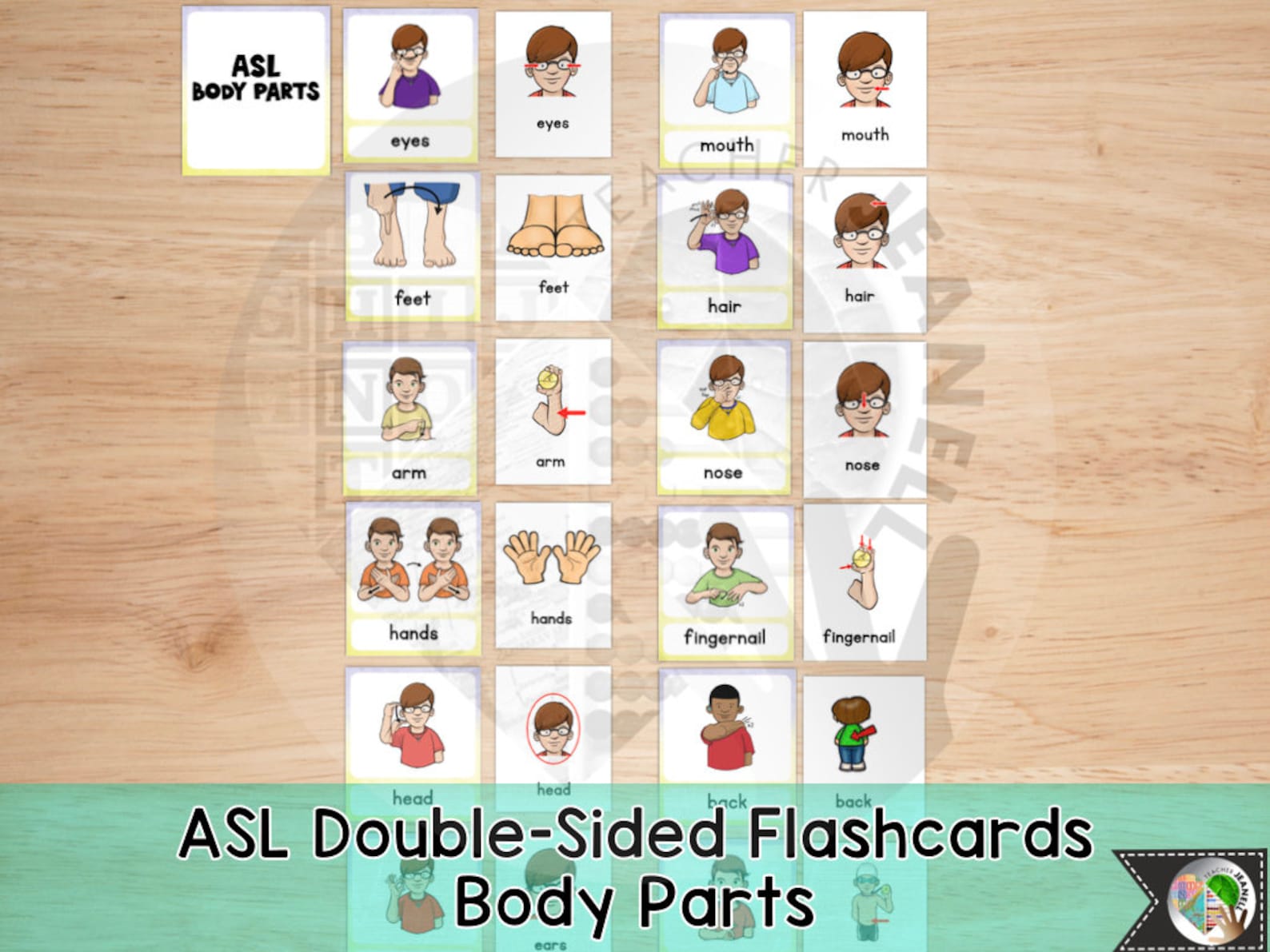 ASL Body Parts Flash Cards American Sign Language ASL Etsy España