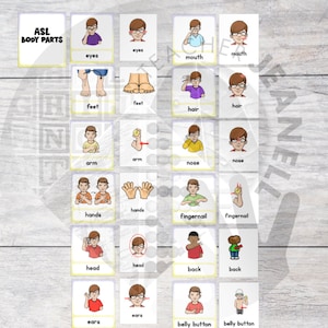 ASL Flashcards, ASL Body Parts, Sign Language Flash Cards - Etsy