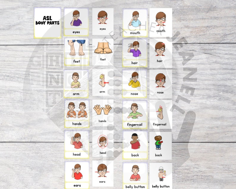 May include: A set of 16 illustrated flashcards featuring British Sign Language (BSL) signs for body parts. Each card shows a cartoon person signing the word for a body part, such as eyes, feet, hair, nose, hands, fingernails, head, back, ears, and belly button.