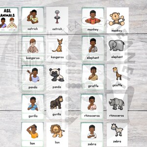 ASL Animals Flash Cards, Sign Language Flashcards, ASL Cards - Etsy