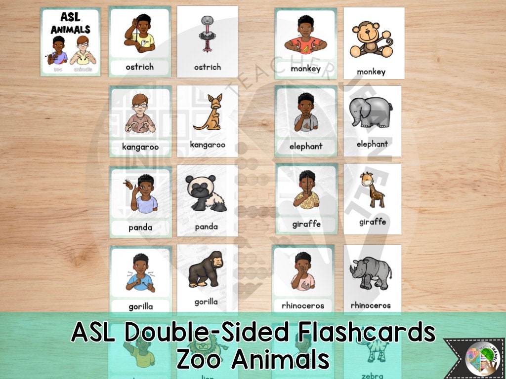 ASL Zoo Animals Flash Cards American Sign Language ASL | Etsy