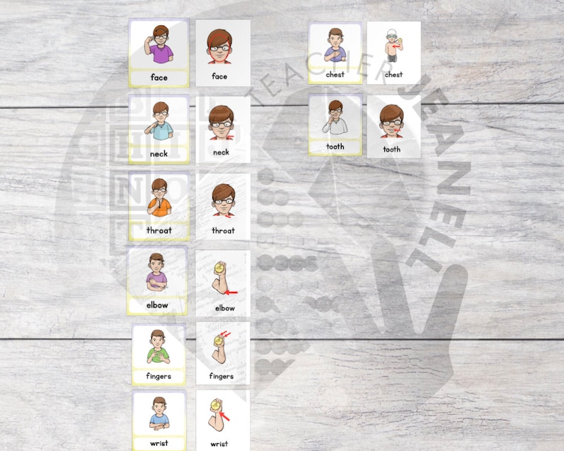 May include: A set of 10 illustrated flashcards showing different parts of the body. Each card features a cartoon person demonstrating the sign language for a body part, such as face, neck, chest, tooth, throat, elbow, fingers, and wrist.