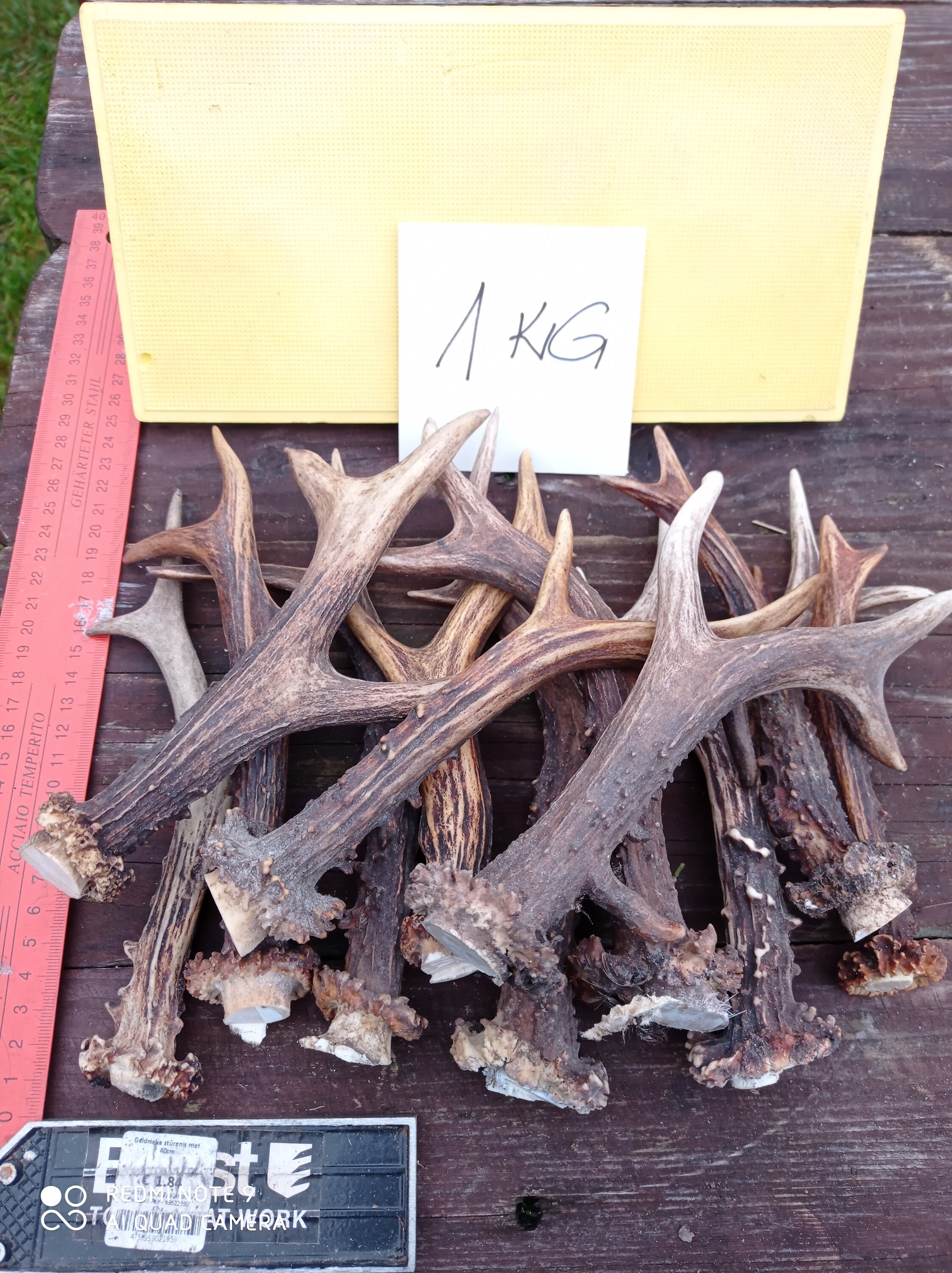 Are Deer Sheds Good For Dogs