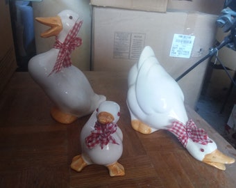 Kitchen Duck set