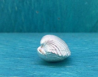 Travel shell lucky charm medium 925 silver