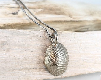 Pendant cockle 585 white gold