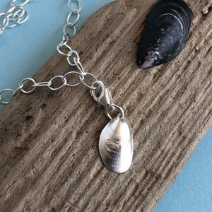 Könnte beinhalten: Ein silbernes Kettenarmband mit einem silbernen Anhänger in Form einer Muschel. Das Armband liegt auf einem Stück Treibholz mit einer schwarzen Muschel.