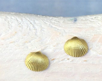 Ear studs small cockle 750 yellow gold