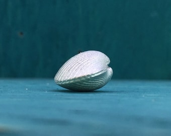 Travel shell lucky charm mini 925 silver