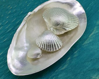 Große Sandklaffmuschel als kleine Schale, Silber