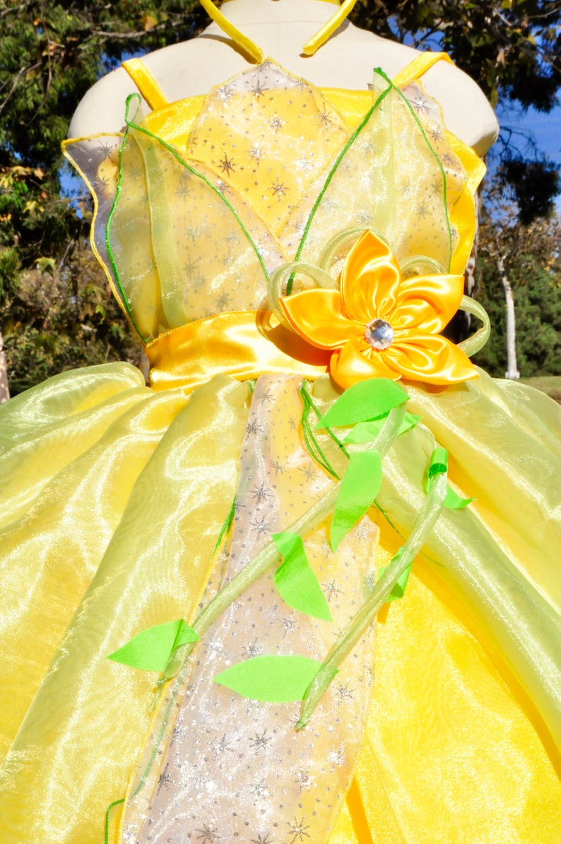 princess halloween costume Disney trip birthday dress Tiana Dress Princess dress Princess and the frog costume princess gown
