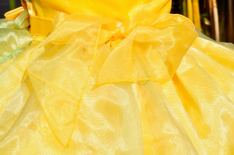 princess halloween costume Disney trip birthday dress Tiana Dress Princess dress Princess and the frog costume princess gown