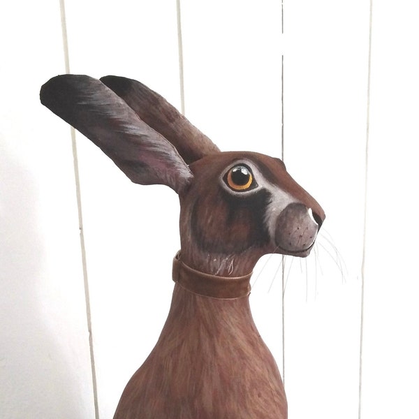 Mr Brown Hare