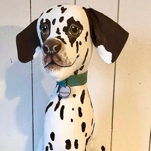 Spotted Dalmatian