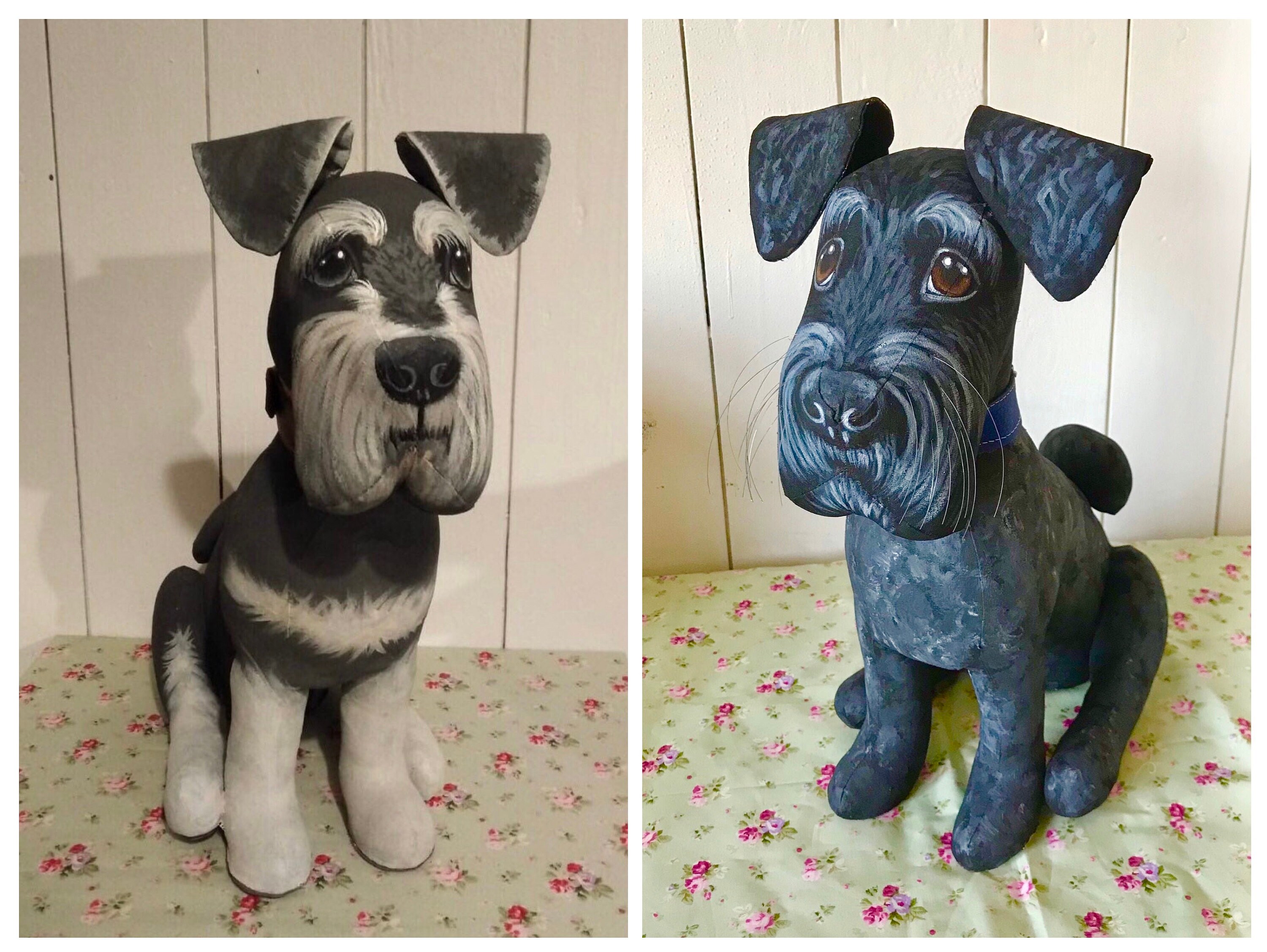 Black and hotsell grey miniature schnauzer