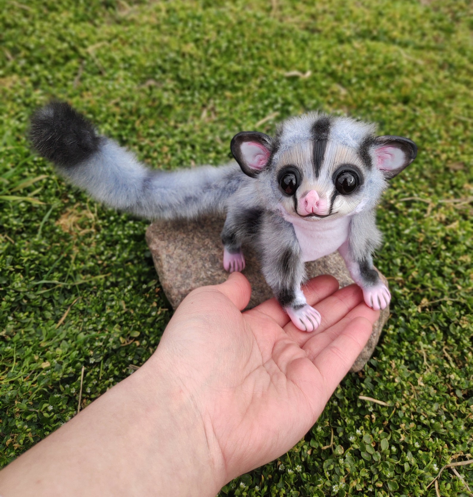 Sugar Glider Flying Squirrel Funny and cute animal Home | Etsy