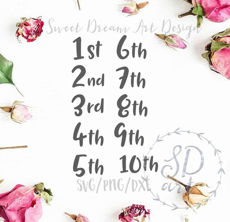 Download My quarantine birthday svg Birthday 2020 svg Changeable | Etsy
