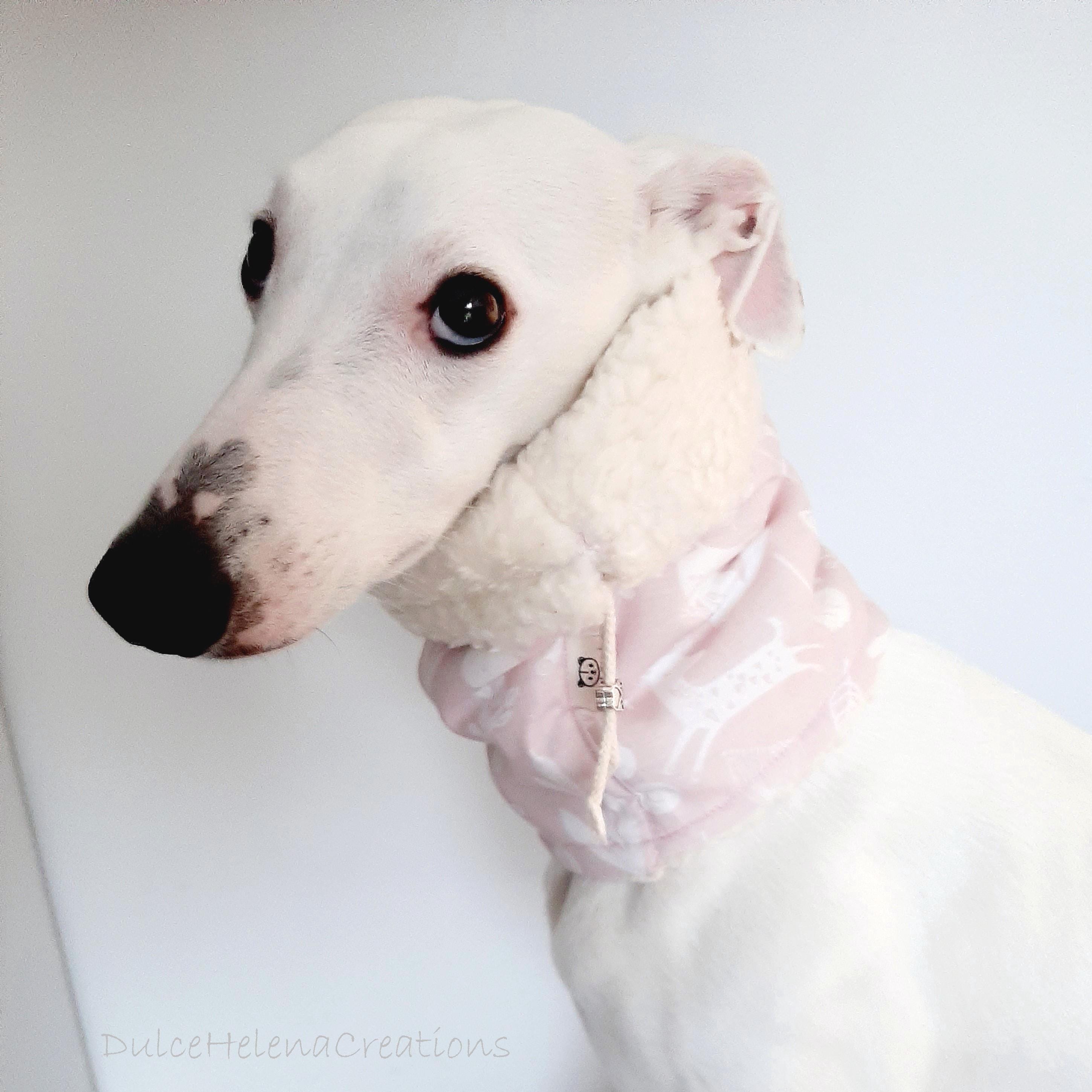 Galgo halsband - Etsy.de