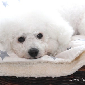 Hundedecke Teddyfell Sternenhimmel weiss/grau Sterne Kuscheldecke Haustier Hund Körbchen zdjęcie 3