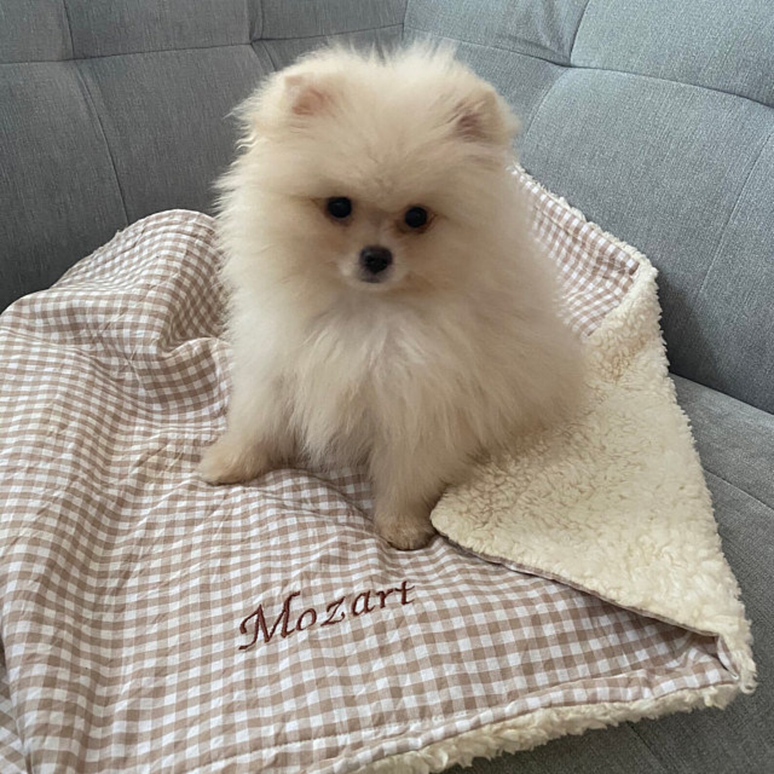 Hundedecke Teddyfell Vichy Karo beige/weiss Kuscheldecke Hund Etsy