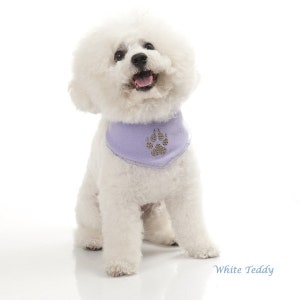 Dog Scarf Dog Bandana Bandana Paw PAW with Name