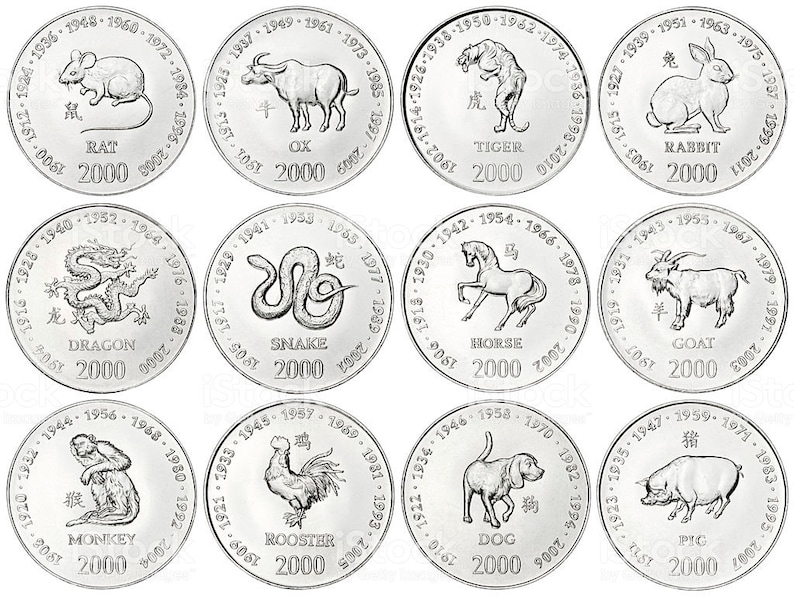 Chinese zodiac rabbit 925 sterling silver pendant coin Chinese horoscope birthday gift rabbit pendant gift for women pendant silver