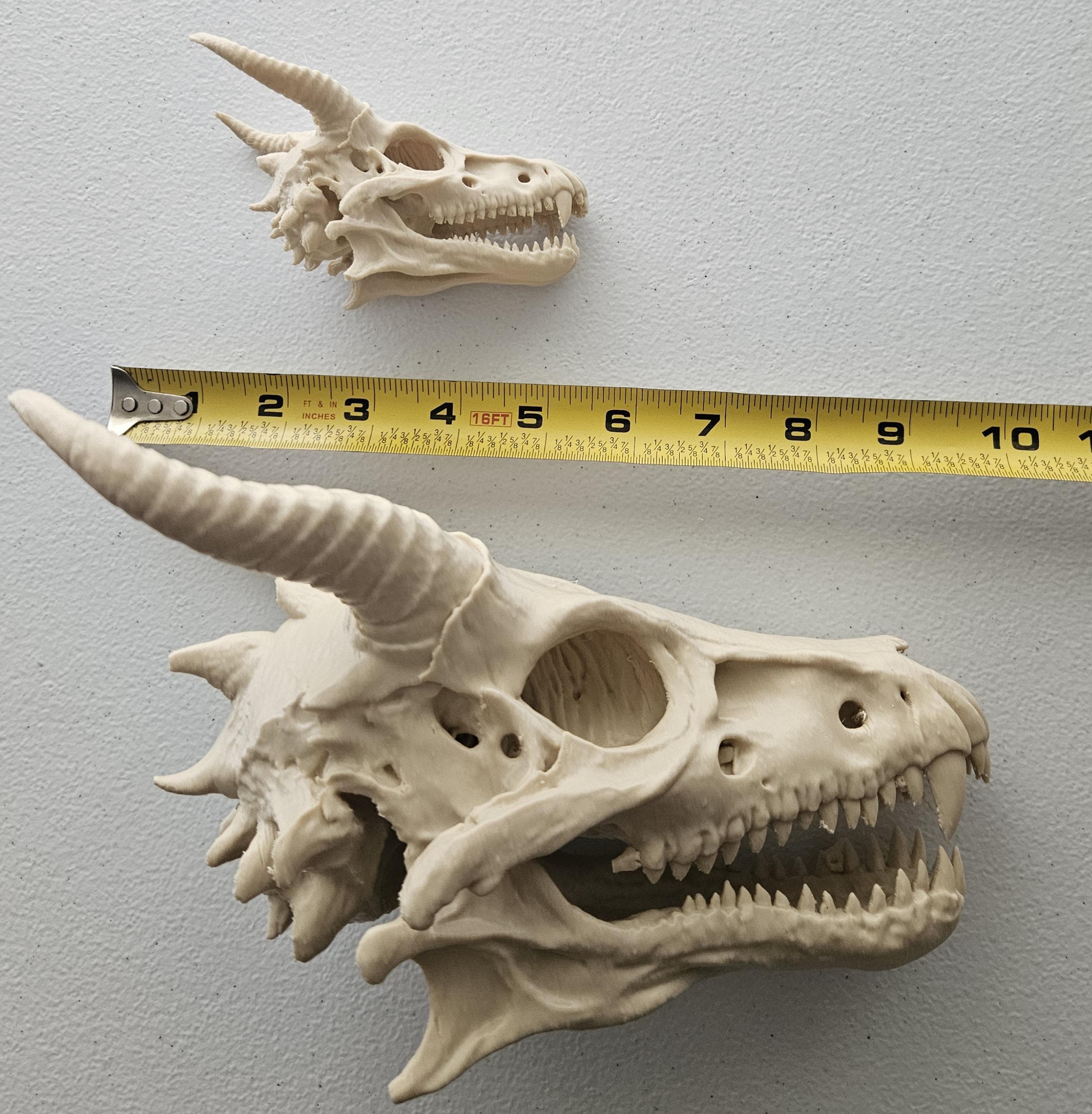 Plastic Dragon Skull Canada