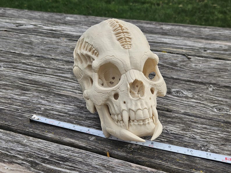 3D Printed Alien Skull Sculpture, Xenomorph Predator Head, Sci-fi ...